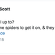 Illustration for article titled Catherine Scott Spent All of Friday Afternoon Waiting for Her Spiders to Have Sex